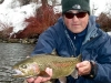 big-provo-river-rainbow-trout-close-up3
