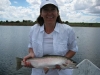big-rainbow-trout-on-private-lake
