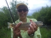 nice-small-stream-brown-trout