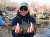 provo-river-fish-amy