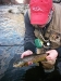 provo-river-fly-fishing-apr15