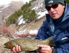 spencer-big-provo-river-rainbow-trout