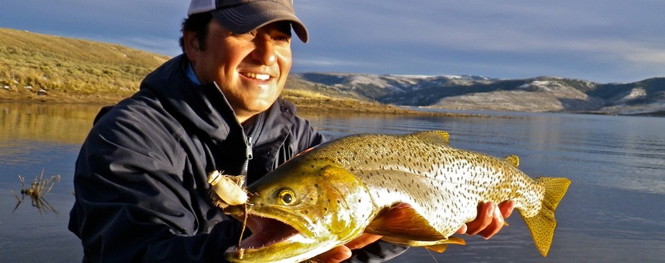 Catch Wild Trophy Trout