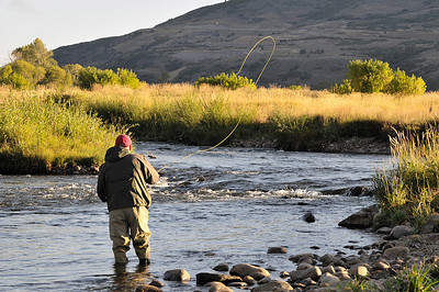 Fly Fishing Utah Middle Provo River with Dry Flies