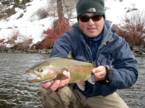 Big Provo River rainbow trout close up2