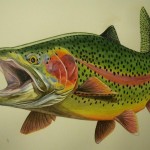 Full Rainbow