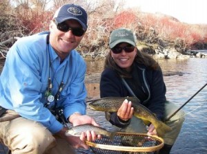 Provo River browns