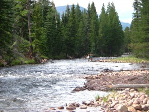 Utah Mountain Trout Stream