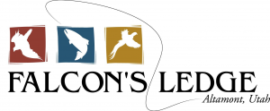 Falcon's Ledge Logo